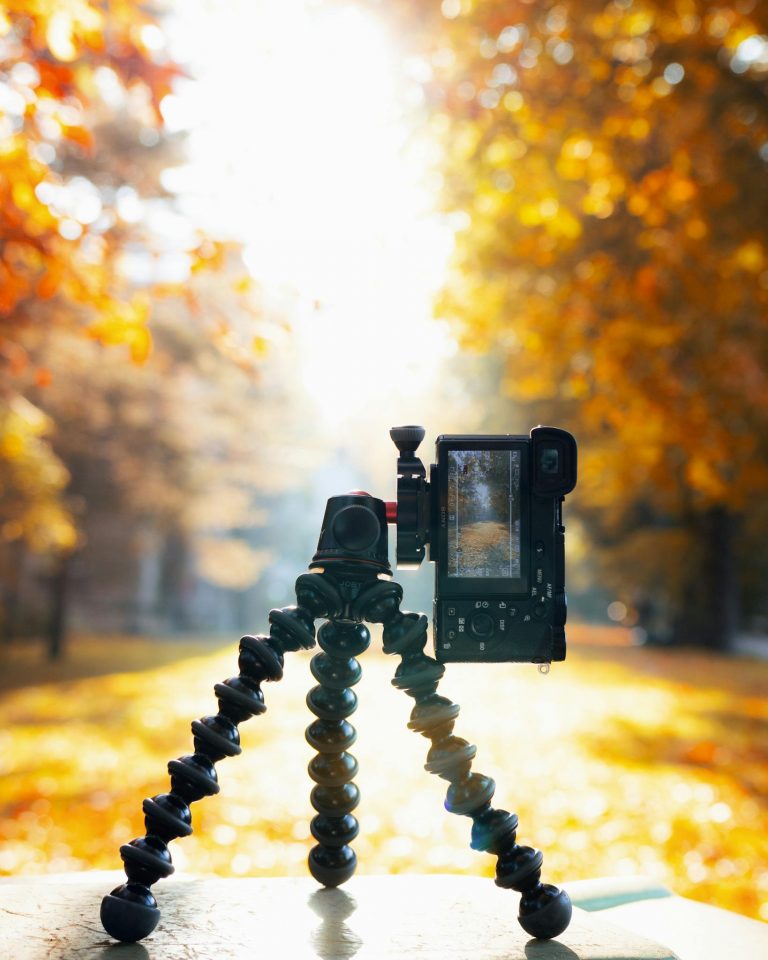 Camera on a tripod capturing autumn colors in Tallinn's vibrant park setting.