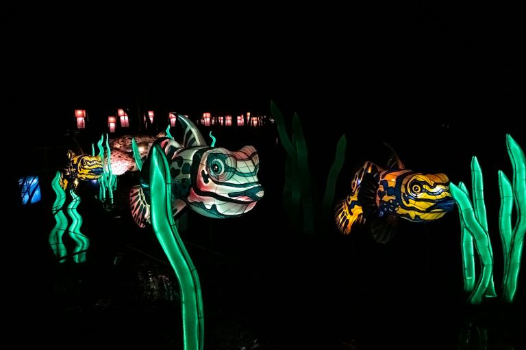 Vibrant fish lanterns glowing brightly in a nighttime outdoor display.