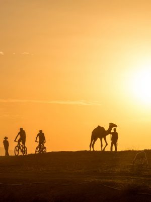Ticket für die Live-Multivisionsreportage:<br/>GERHARD CZERNER<br/>»Sattelfest – Mountainbiken über den Dächern der Welt«