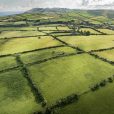 web_Irland 04